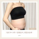 럭키카센타 | 애착인형 만들기 | 조기수축 배뭉침 입원 |임부복 사이트 추천 | 임산부 잠옷 추천 | 정밀초음파 후기