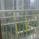 (유리창 청소) 파주 운정 아파트 거실 유리창 청소로 속이 후련 후기: 빛나는 하루