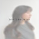 조앤리 헤어클럽 이미지