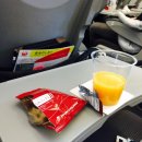 (주)펫에어라인 | #48. [귀국] 밴쿠버-도쿄-인천 재팬에어라인(JAL) 후기!!