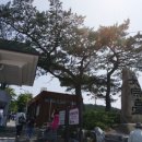 태종대 관광안내소 이미지