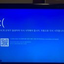 316005 이미지