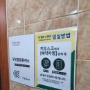 더 캠프 스테이 이미지