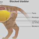 포천동물병원 이미지