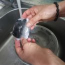 [복지리탕밀키트] 지금 날씨에 딱인 '삼광수산 복도네' 복지리탕🐡
