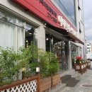 효동수족관 | 행운이의 50일 촬영기!