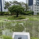 코림트리풀공인중개사사무소 이미지