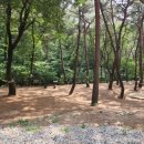 초동목장 이미지