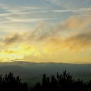 피스테라 이미지