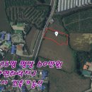 조수리엔 이미지