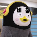 (주)단정바이오 네이버블로그