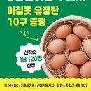 하나로전단
