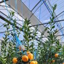 용서농장 이미지