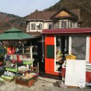 참샘 Daum카페