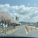 가곡체육공원 이미지