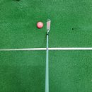 계룡골프연습장 | 계룡 골프샵 추천 여성 아이언 캘러웨이 엘리트 맥스 페스트 시타 구매한 리얼 후기