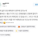 용인대 원탑유도 이미지
