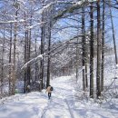 미인의 속살처럼 아름다운 비경의 폭포를 거닐다 ~ 삼척 미인폭포 (통리협곡) 이미지