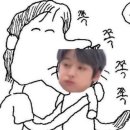 칭구라이브 | 저 주연이 좋아하는거 모르는사람 있음?(250907 헬로라이브 개인대면 후기)