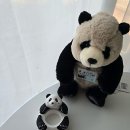 링스골프스쿨 이미지