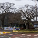 금악리 마을회관 이미지