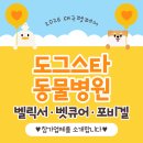 도그스타동물병원 | ★2026 대구펫페어★ 참가브랜드 소개 - 도그스타동물병원