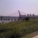 세종보 입구 이미지