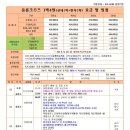 울릉크루즈투어