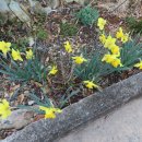 하일면보건지소 이미지