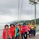 사랑이네 구제 이미지