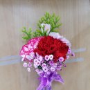 카네이션13(코사지) - 경산꽃집 경산꽃배달 사동그린꽃 이미지