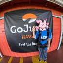 쇼어컴퍼니 | 2026 삼성 라이온즈 통합 우승 기원! 하와이 액티비티로 고점프(GO JUMP) 스카이다이빙 뛰고 온 후기