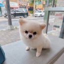 암사동물병원 이미지