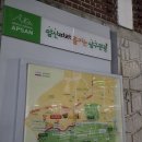 운동화빨래터 | 대구 벚꽃 명소 앞산 빨래터공원 실시간 후기(주차장·요금·혼잡도 총정리)