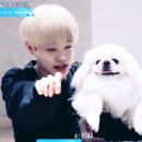 오늘의개스트 이미지