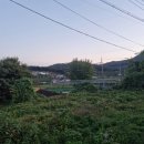 양달농장 | 용인 양달농원 캠핑장 방문기(feat. 리프 플레이스)