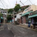 도도킹코리아 이미지