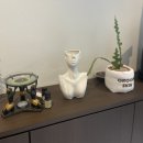 오룸스킨 이미지