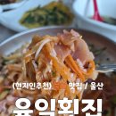 육일 | 울산 바다 물회 맛집 육일횟집 리얼 후기🌊