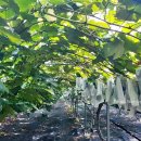 녹수농장 이미지