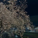 용산천변길 이미지