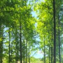 자연생태어린이집 이미지