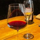 리알토 | 청담 리알토 디너 후기｜트러플 카르보나라와 와인 페어링 추천