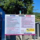 이밤에캠핑장 이미지