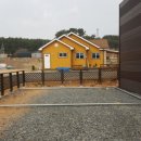 놀스타일 이미지