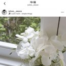 [w.log] 웨딩플래너 이유플랜 권주희 플래너 계약 후기
