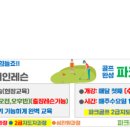 신효동-18 네이버블로그