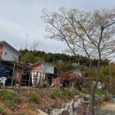 태안팜랜드 네이버블로그