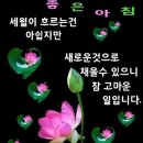 거안