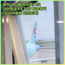 726 | [고베여행#2] 대한항공 오사카-인천 KE726 탑승 후기(기내식/기종/좌석)